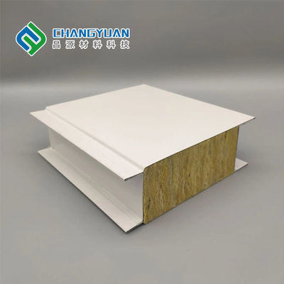 Modern Cleanroom Wall Panel Fire Proof Pu Foam Sandwich Panel