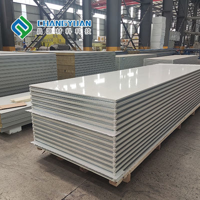 Heat Insulation Cleanroom Wall Panel Material Quick Installed Type