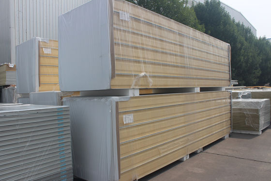 Customizable Soundproof Insulation PU Panels for Eco Friendly Cold Storage