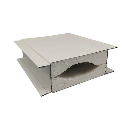 Fireproof and Insulated Customizable Clean Room Wall Panelss