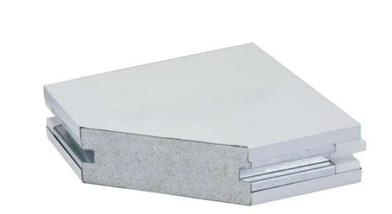 Customized Fireproof Cleanroom Wall Panel Thermal Insulation