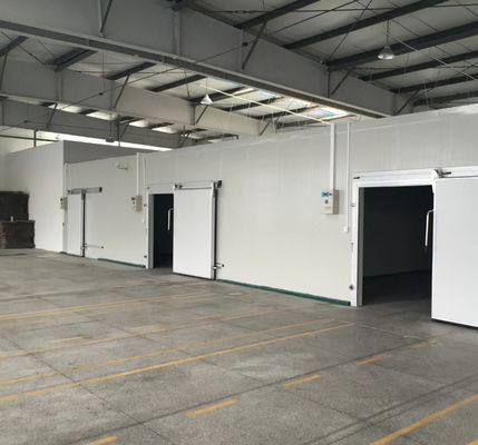 Optimal Insulation Cold Room PU Panel 250mm Thickness and Density＞45kg/m3 with Heat Insulation Included