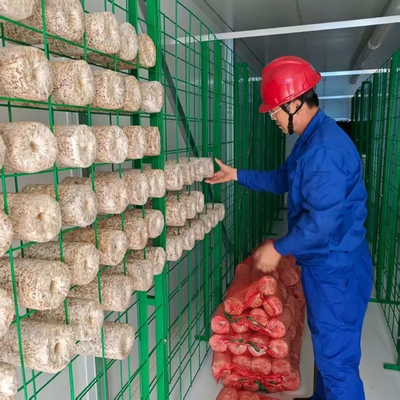 Sustainable Mushroom Container For Rural And Urban Outskirts Farming Practices