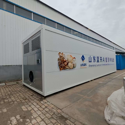 Versatile Mushroom Cultivation For Efficiently Handling Large Quantities