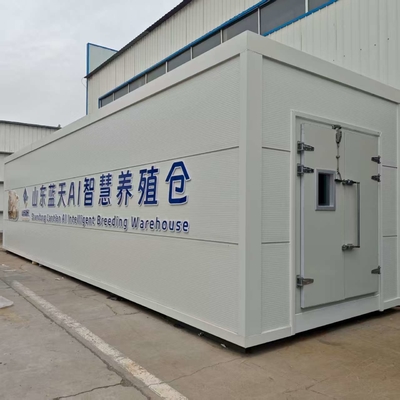 Versatile Mushroom Cultivation For Efficiently Handling Large Quantities