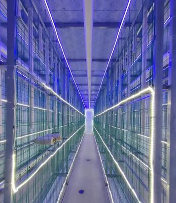 Low Maintenance Mushroom Container Farm with Remote Monitoring and Standard 20ft or 40ft Container