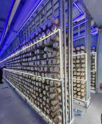 Low Maintenance Mushroom Container Farm with Remote Monitoring and Standard 20ft or 40ft Container