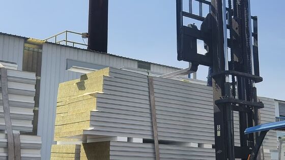 Sound Insulation Fireproof Cleanroom Sandwich Panel with Customizable Thickness for High Cleanliness Environments